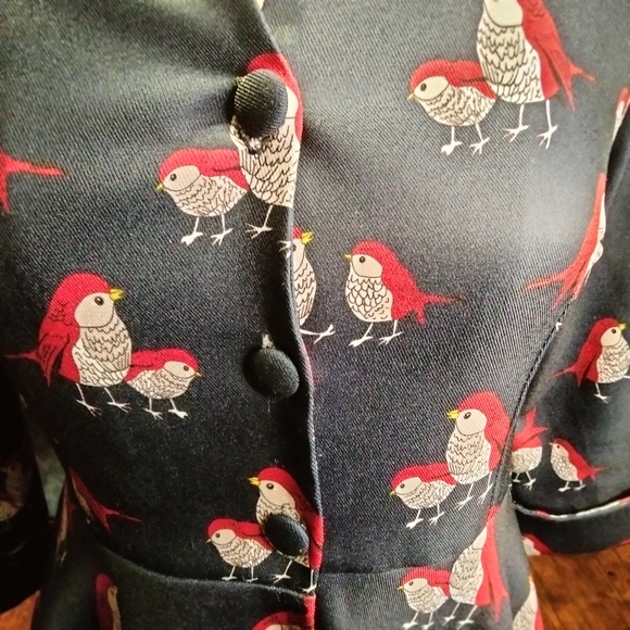 Miss Yan Bird Patterned Dark Academia Teacher Button Up Dress Size Small - Picture 8 of 13